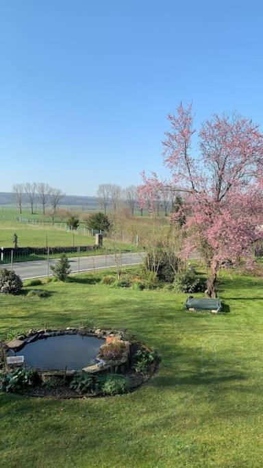 Emmerthal Idyllische Ferienwohnung Auf Altem Bauernhof Mit Wallbox מראה חיצוני תמונה